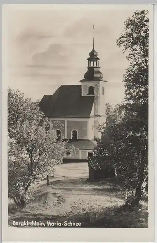 (69969) Foto AK Miedzygórze, Wölfelsgrund, Maria Schnee, vor 1945
