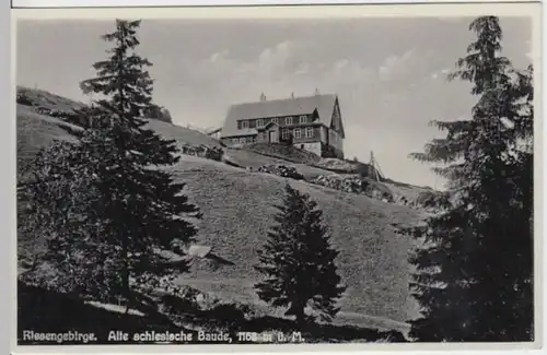 (5893) AK Riesengebirge, Alte Schlesische Baude, vor 1945