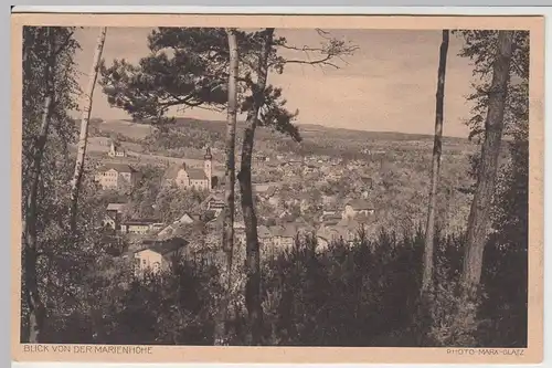 (57639) AK Bad Altheide, Polanica-Zdrój, Panorama, Mariä Himmelfahrt 1928