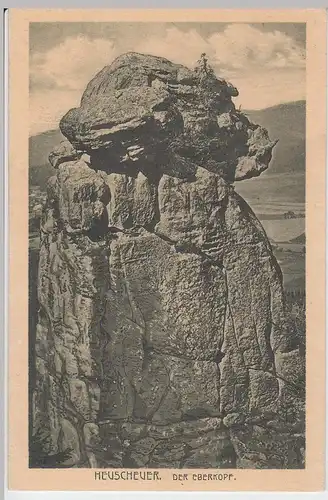 (53042) AK Heuscheuergebirge (Gory Stolowe), Eberkopf, 1918