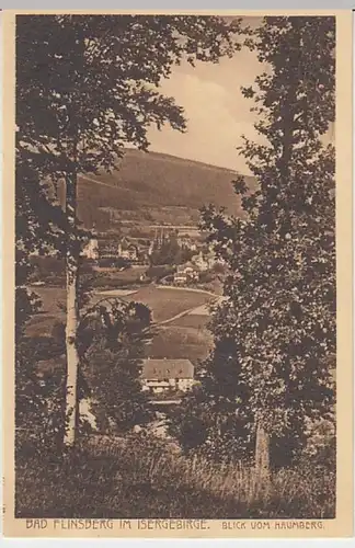 (30463) AK Bad Flinsberg (Swieradow-Zdroj), Blick vom Haumberg, 1931