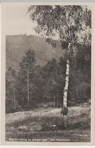 (30045) Foto AK Bad Flinsberg (Swieradow-Zdroj), Hasenstein, 1931