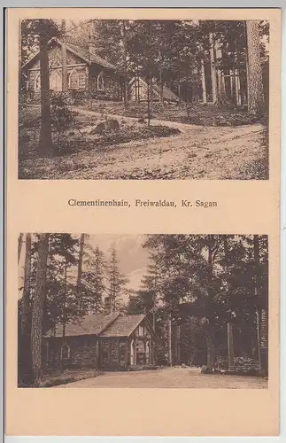 (112767) AK Clementinenhain Freiwaldau, Gozdnica, Gaj Klementyny, vor 1945