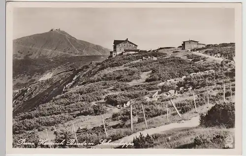 (112314) Foto AK Schneekoppe, Sniezka, Prinz Heinrich Baude, vor 1945