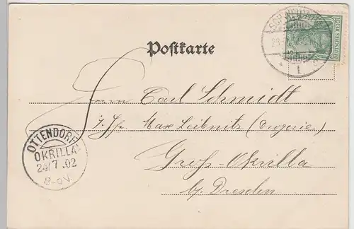 (110819) AK Gruss aus Dittersbach, Dzietrzychów, Totale 1902