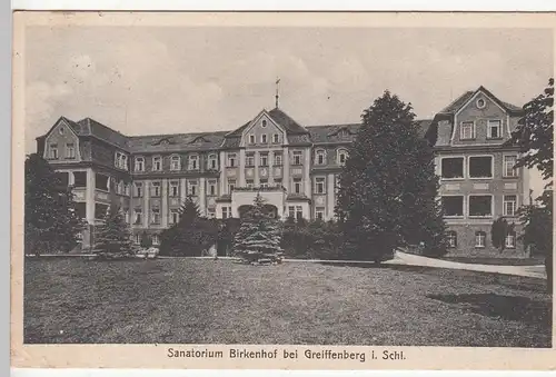(110533) AK Greiffenberg, Gryfów Slaski, Sanatorium Birkenhof, 1929