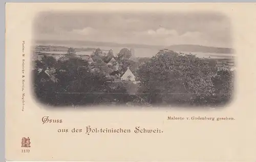 (95540) AK Gruss aus der Holsteinischen Schweiz, Malente v. Godenberg, um 1900