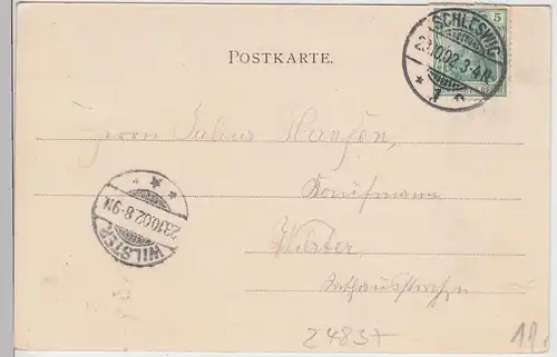 (95337) AK Gruss aus Schleswig, Lehrerinnen-Seminar, 1902