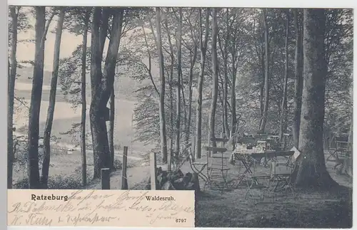 (90299) AK Ratzeburg, Lauenburg, Waldesruh 1906