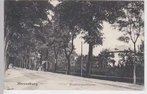 (87884) AK Ahrensburg, Hamburger Straße 1918
