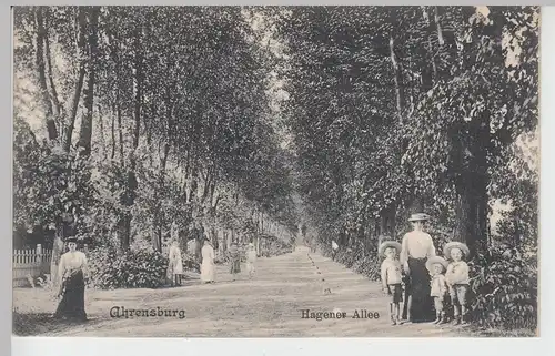 (87883) AK Ahrensburg, Hagener Allee 1910
