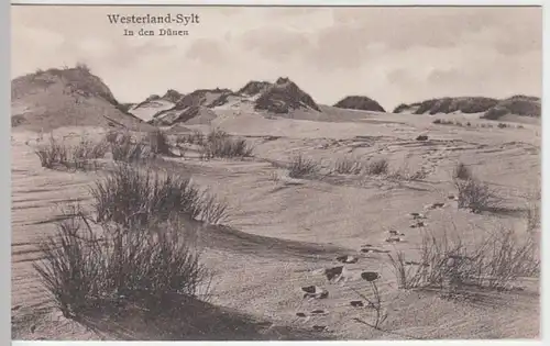 (8712) AK Westerland, Sylt, Dünen, vor 1945