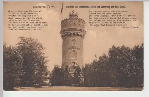 (84247) AK Sachsenwald, Aumühle, Bismarckturm 1924