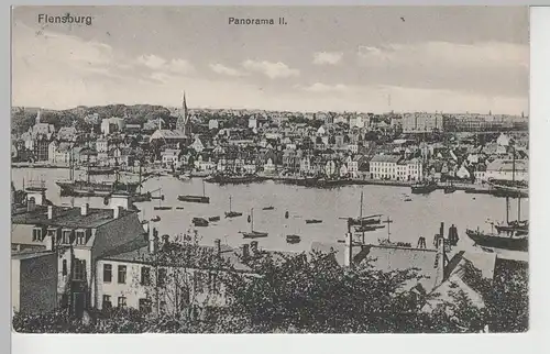 (78824) AK Flensburg, Panorama 1913