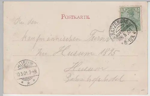 (76781) AK Gruss aus Solbad Segeberg, Ansicht vom Kurpark, 1901