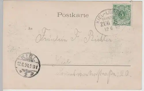 (76615) AK Gruss aus Eutin, Ansicht vom Kamp, Bahnpost 1898