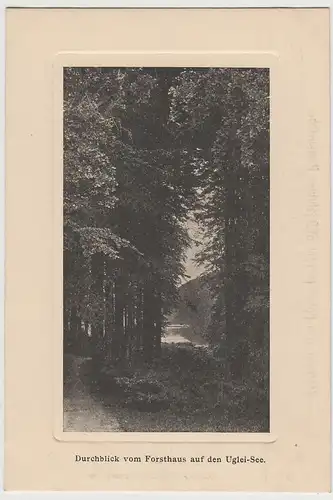 (73347) AK Ugleisee, Durchblick vom Forsthaus, um 1905