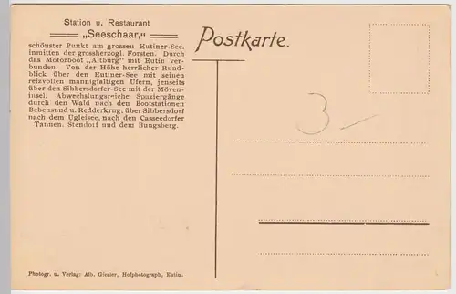 (60211) AK Eutin, Waldweg im Seeschaarwald am Gr. Eutiner See, vor 1918