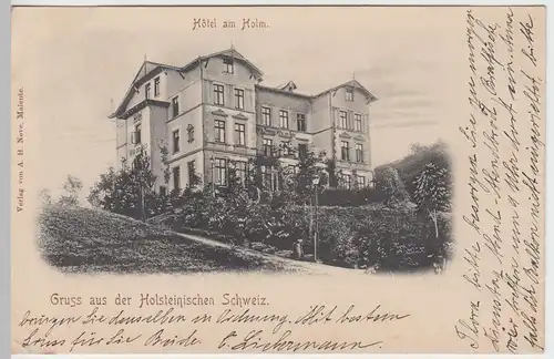 (47697) AK Gruß aus der Holsteinischen Schweiz, Hotel Villa am Holm 1902