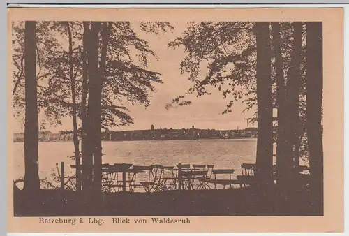 (42837) AK Ratzeburg, Blick von Waldesruh 1920/30er