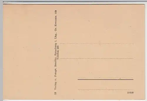 (42837) AK Ratzeburg, Blick von Waldesruh 1920/30er