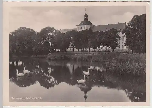(35921) Foto AK Schleswig, Schlosspartie, 1947