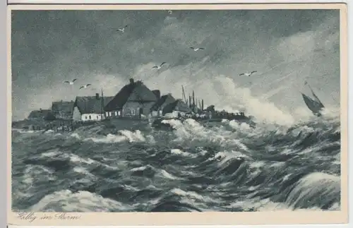(16792) Künstler AK Hallig im Sturm