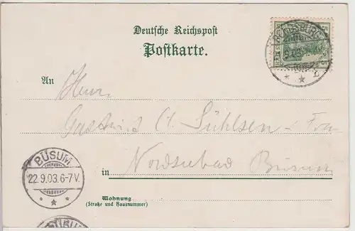 (114678) AK Gruss aus Schleswig, Regierungsgebäude 1903