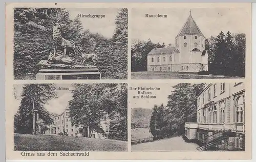 (111461) AK Gruß aus d. Sachsenwald, Mausoleum, Schloss Friedrichsruh, Hirschgru