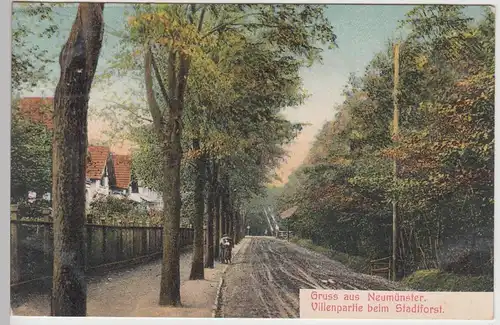 (109386) AK Gruß aus Neumünster, Villen am Stadtforst 1909