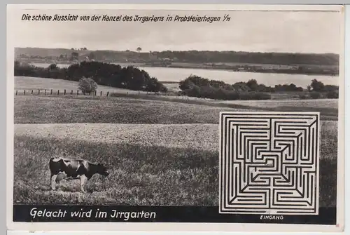 (109359) Foto AK Irrgarten Probsteierhagen, Blick von der Kanzel 1933-45