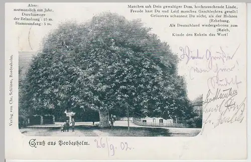 (108555) AK Gruß aus Bordesholm, alte Linde 1902