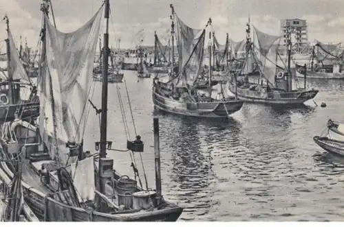 (1675) AK Schiffe, Fischerboote, Ostende 1957
