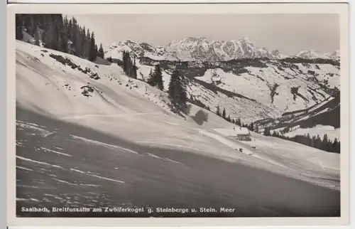 (16900) Foto AK Saalbach-Hinterglemm (Salzb.), Zwölferkogel, vor 1945