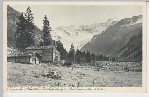 (107549) AK Krimmler Achental, Jaidbachalm gg. Dreiherrenspitze, vor 1945
