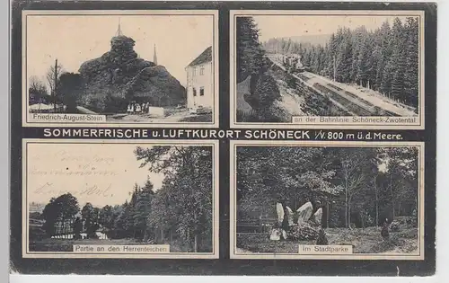 (99855) AK Schöneck, Vogtland, Friedrich August Stein, Stadtpark, v. 1945