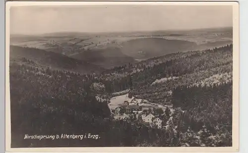 (99791) Foto AK Hirschsprung, Altenberg, Panorama