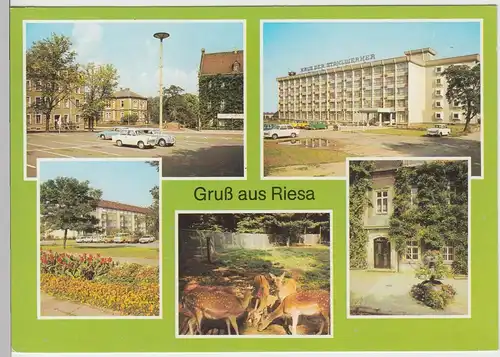 (99680) AK Riesa, Mehrbildkarte, 1989