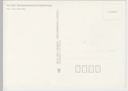 (99156) AK Schneidersberg bei Muldenberg, 1987