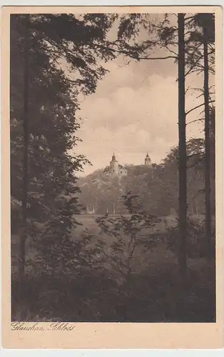 (98654) AK Glauchau, Sachsen, Blick zum Schloss, vor 1945