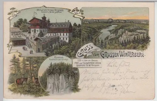 (97798) AK Gruß vom Gr. Winterberg, Sächs. Schweiz, Kipphorn 1905