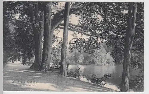 (97785) AK Gruß aus Glauchau, Sa., Gründelteich 1908