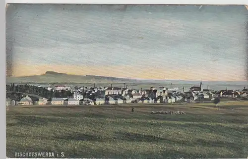 (97761) AK Bischofswerda, Sachsen, Panorama, Feldpost 1915