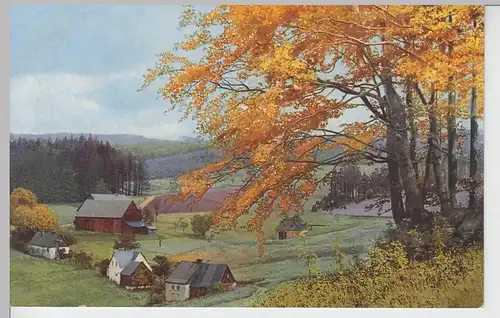 (97747) AK Frauenbach, Neuhausen, Erzgeb., Panorama 1919