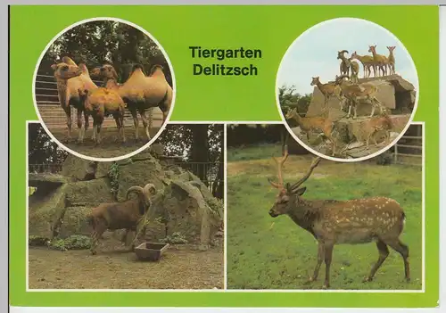 (96384) AK Delitzsch, Mehrbildkarte Tiergarten, 1982