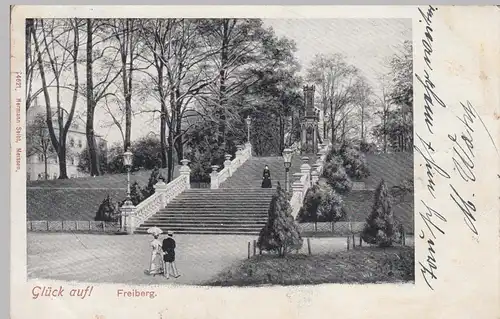 (94639) AK Freiberg, Freitreppe König Albert Park 1901