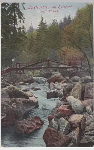 (93950) AK Loreley-Steg im Triebtal, Vogtländische Schweiz, 1922