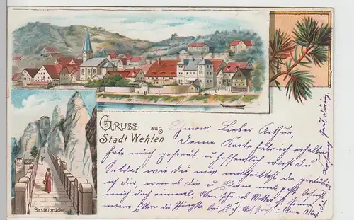 (93208) Künstler AK Gruß aus Stadt Wehlen, Sächs. Schweiz 1902