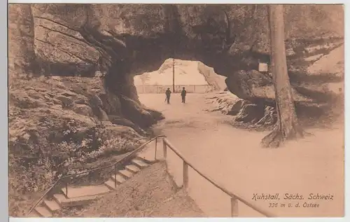 (93207) AK Sächs. Schweiz, Kuhstall 1927