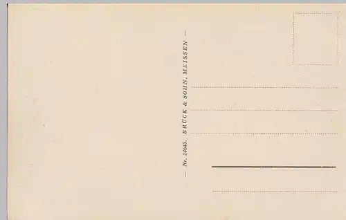 (93155) AK Waldenburg, Sachsen, Panorama, vor 1945